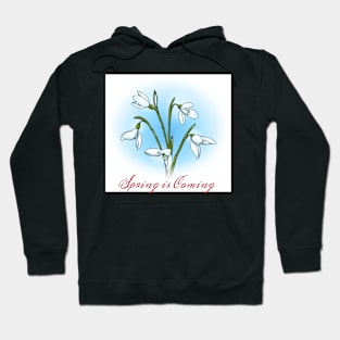 Spring is coming Hoodie